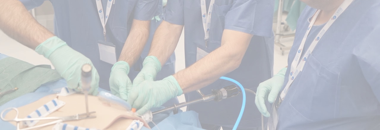 Cardiac surgery training